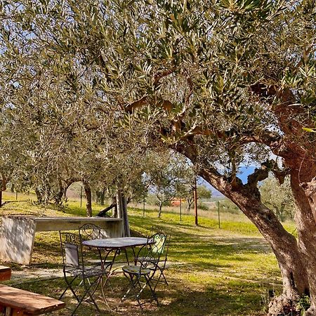 oasi macerina Villa Alanno Exterior foto