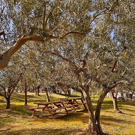 oasi macerina Villa Alanno Exterior foto