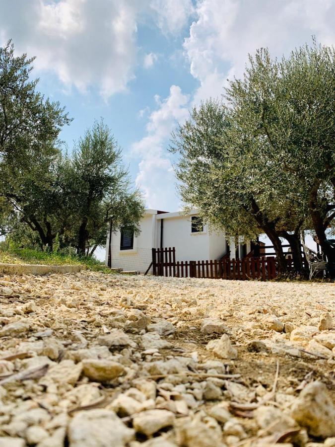 oasi macerina Villa Alanno Exterior foto