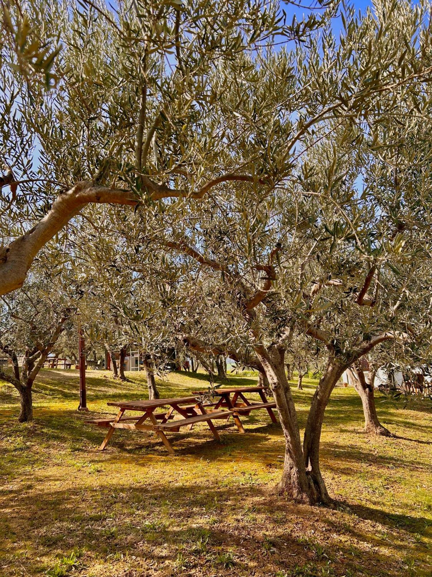 oasi macerina Villa Alanno Exterior foto