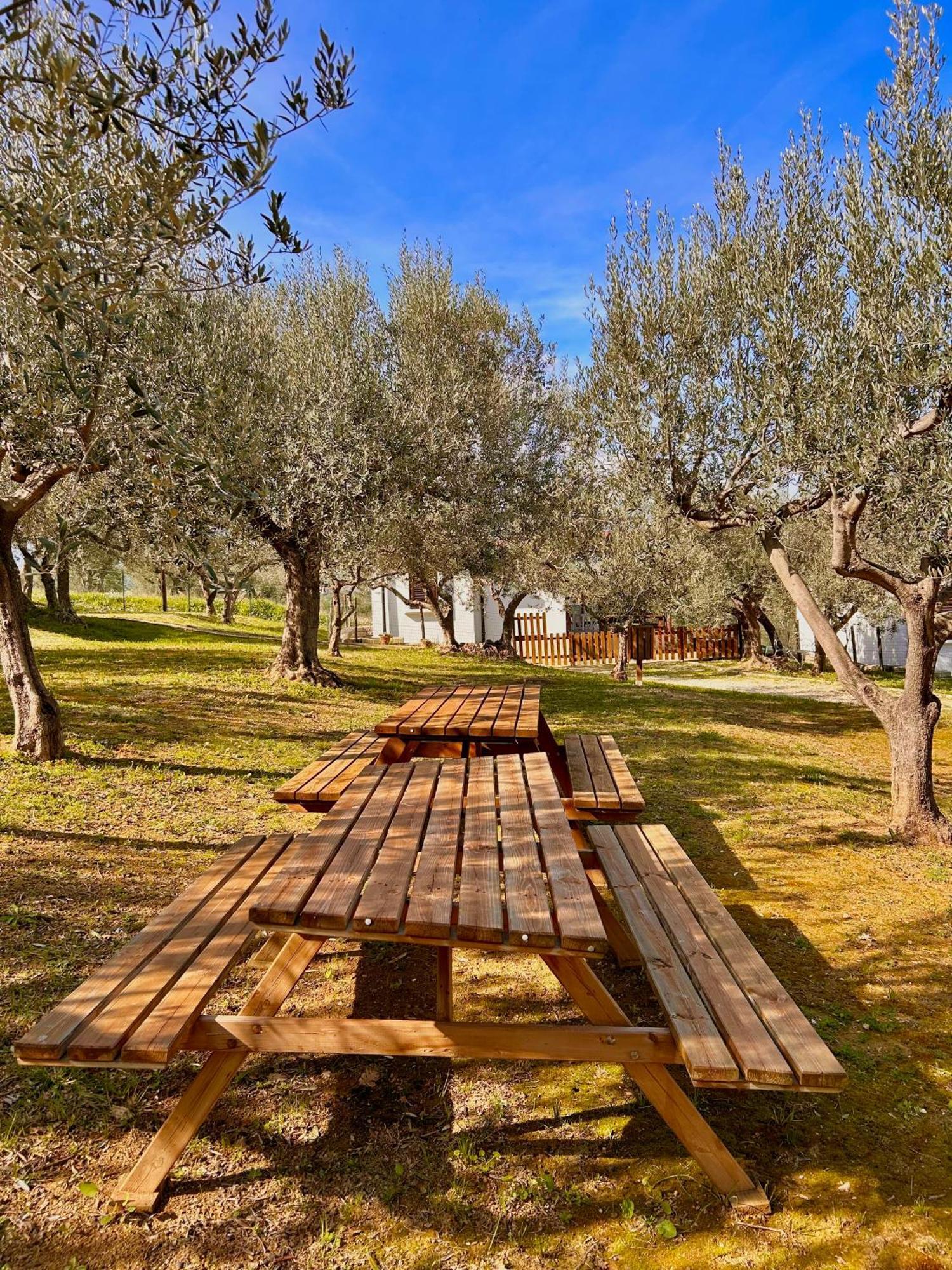 oasi macerina Villa Alanno Exterior foto