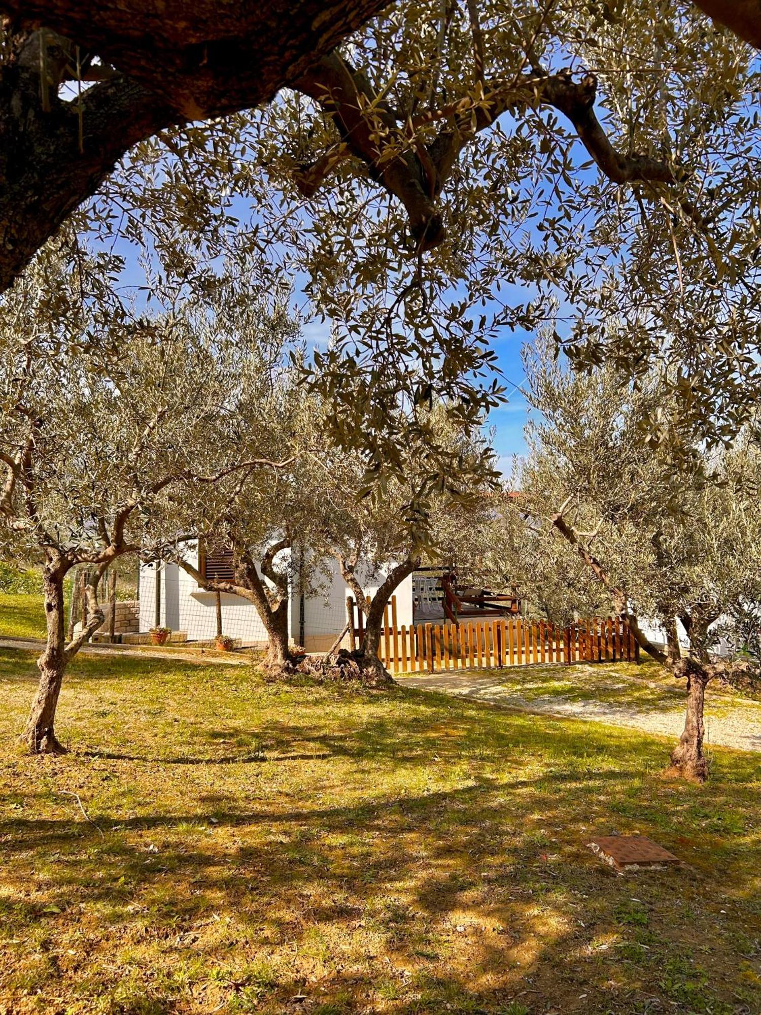 oasi macerina Villa Alanno Exterior foto