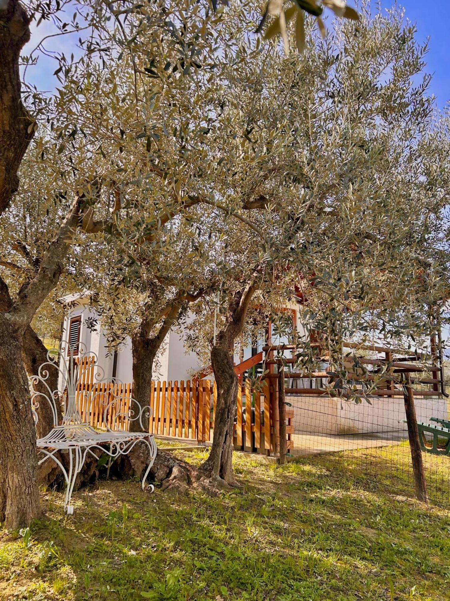oasi macerina Villa Alanno Exterior foto