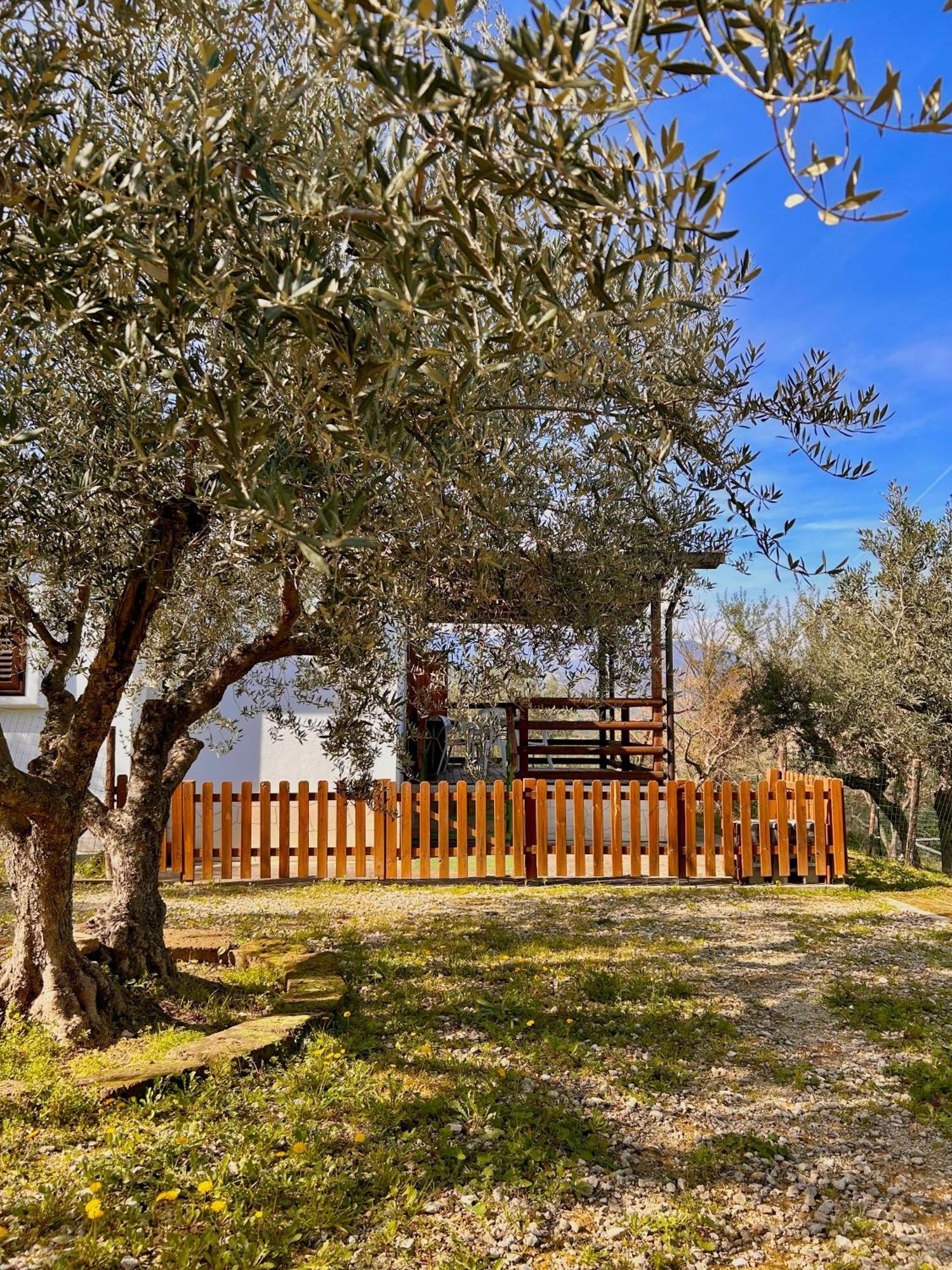 oasi macerina Villa Alanno Exterior foto