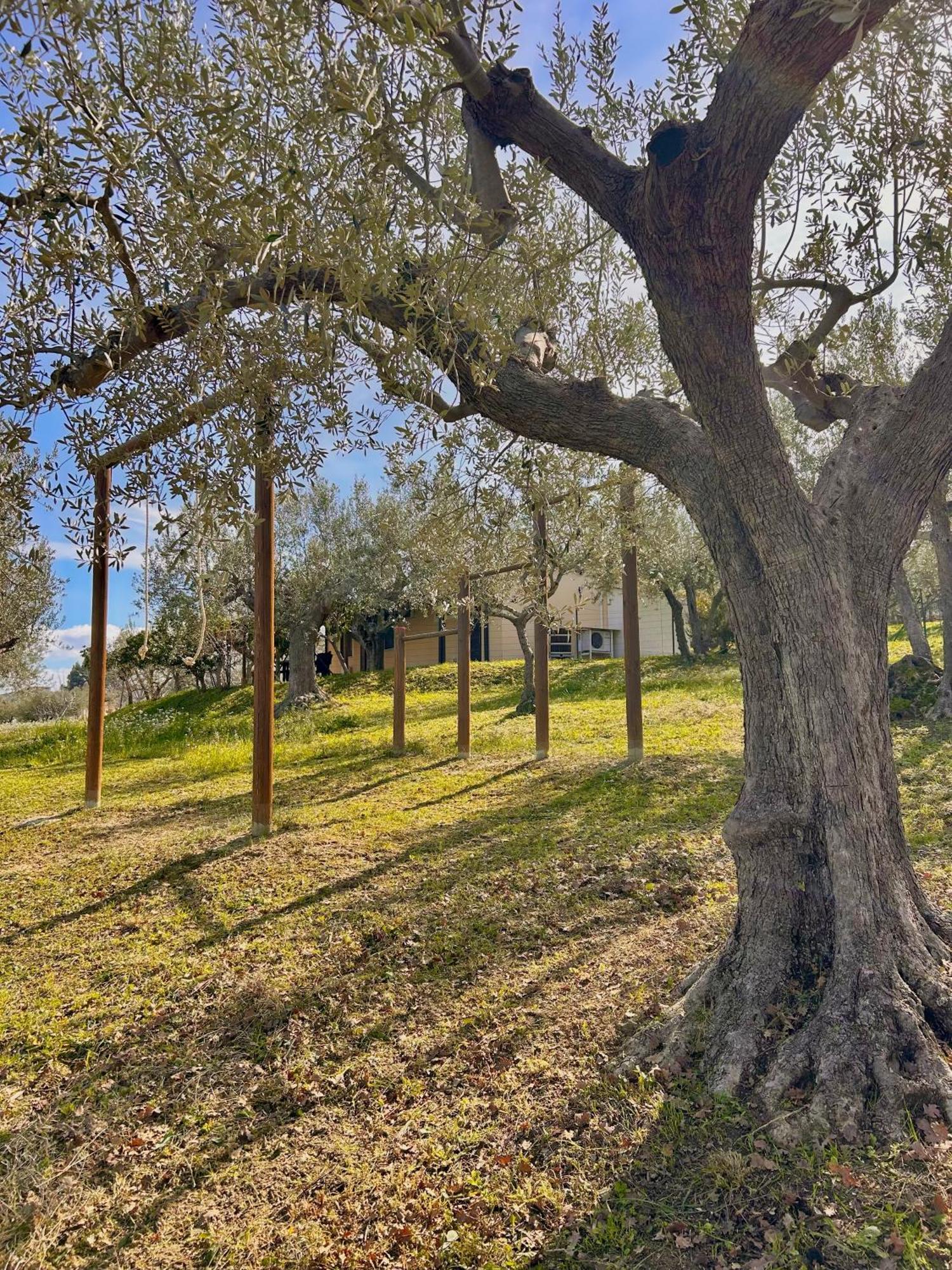 oasi macerina Villa Alanno Exterior foto