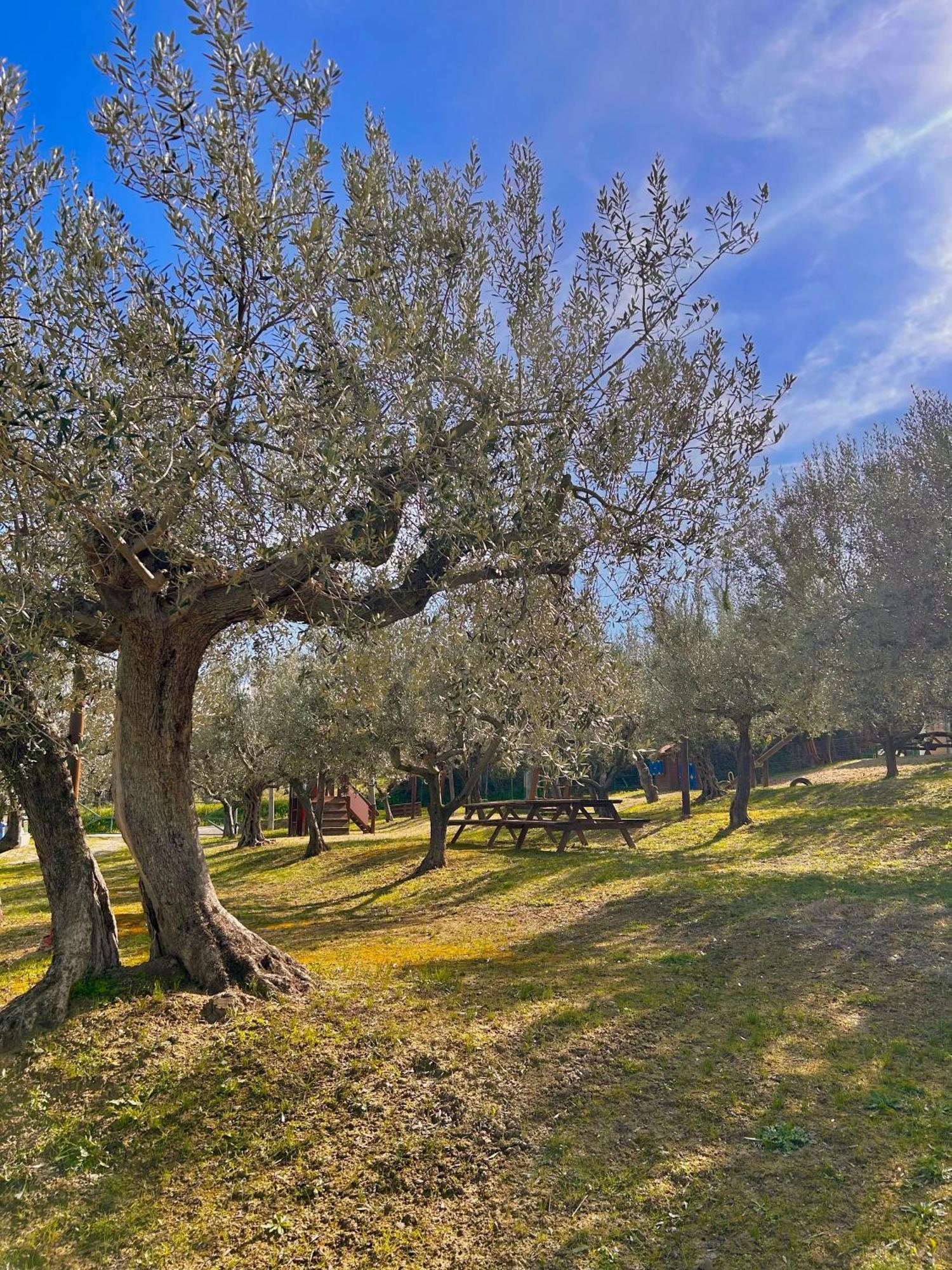 oasi macerina Villa Alanno Exterior foto