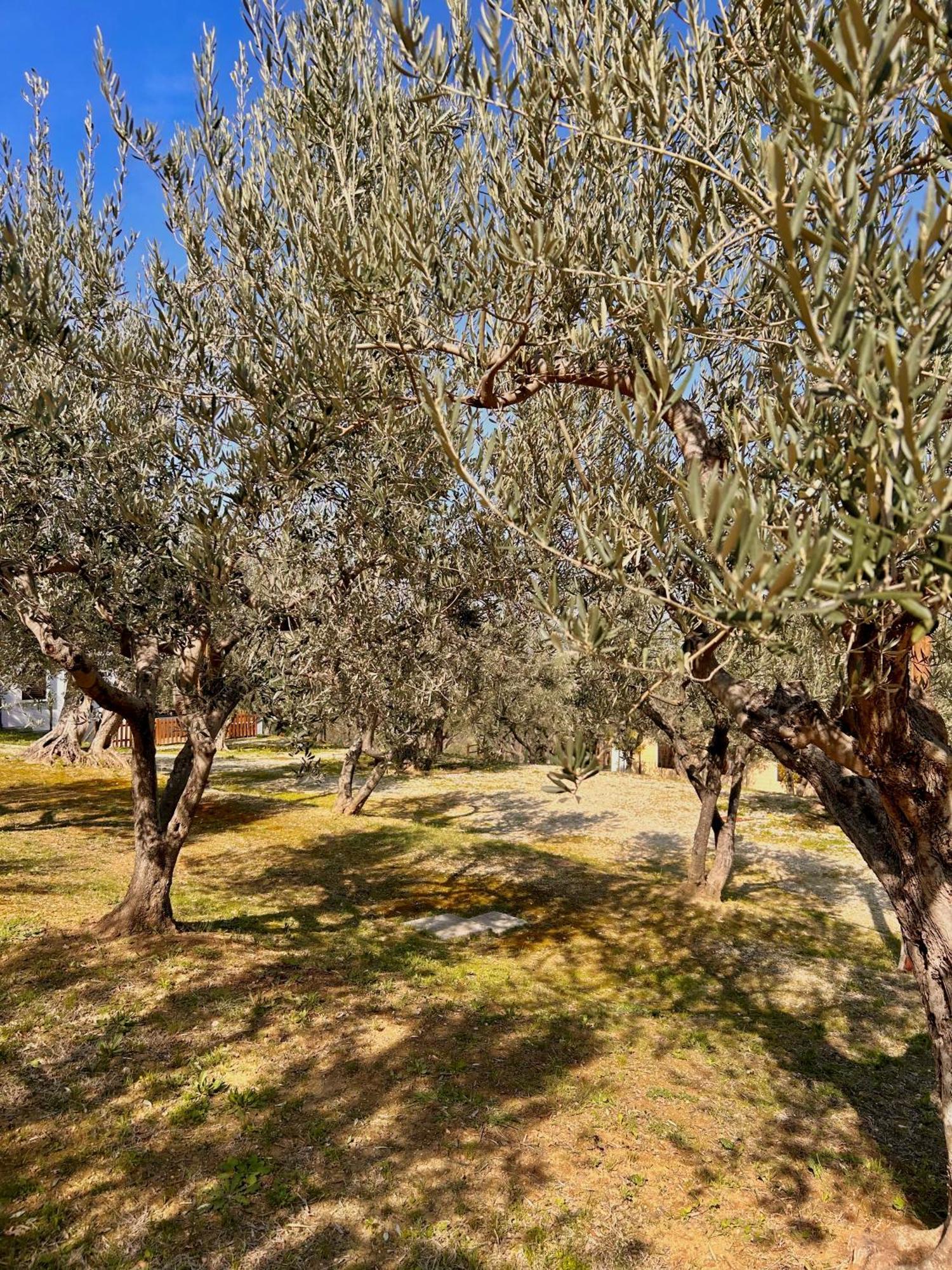 oasi macerina Villa Alanno Exterior foto