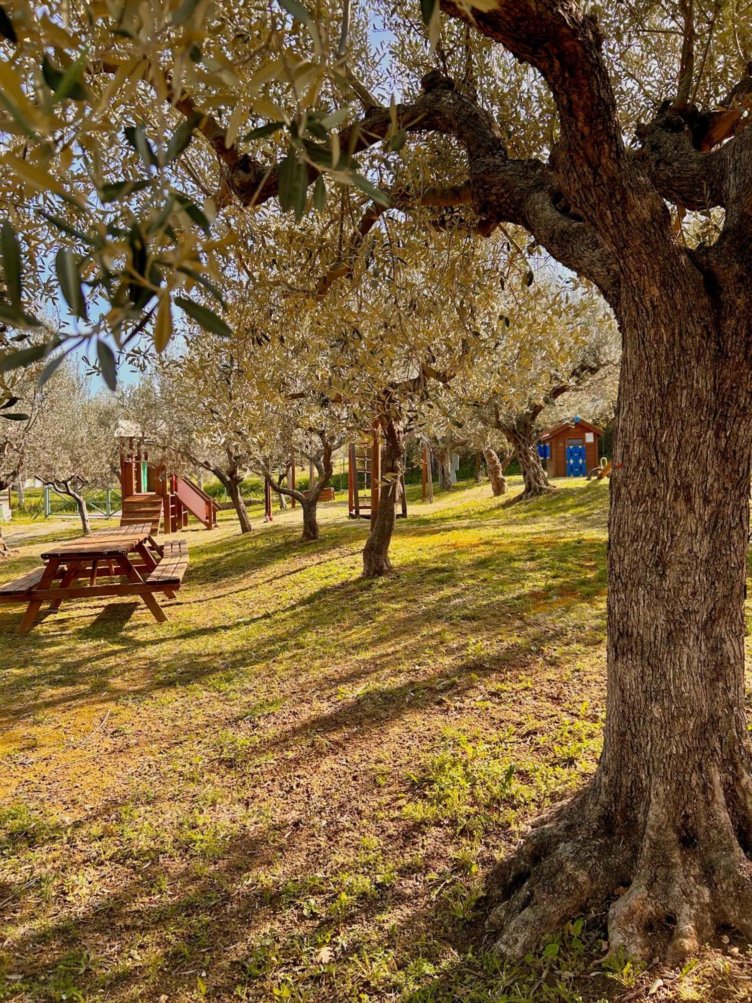 oasi macerina Villa Alanno Exterior foto