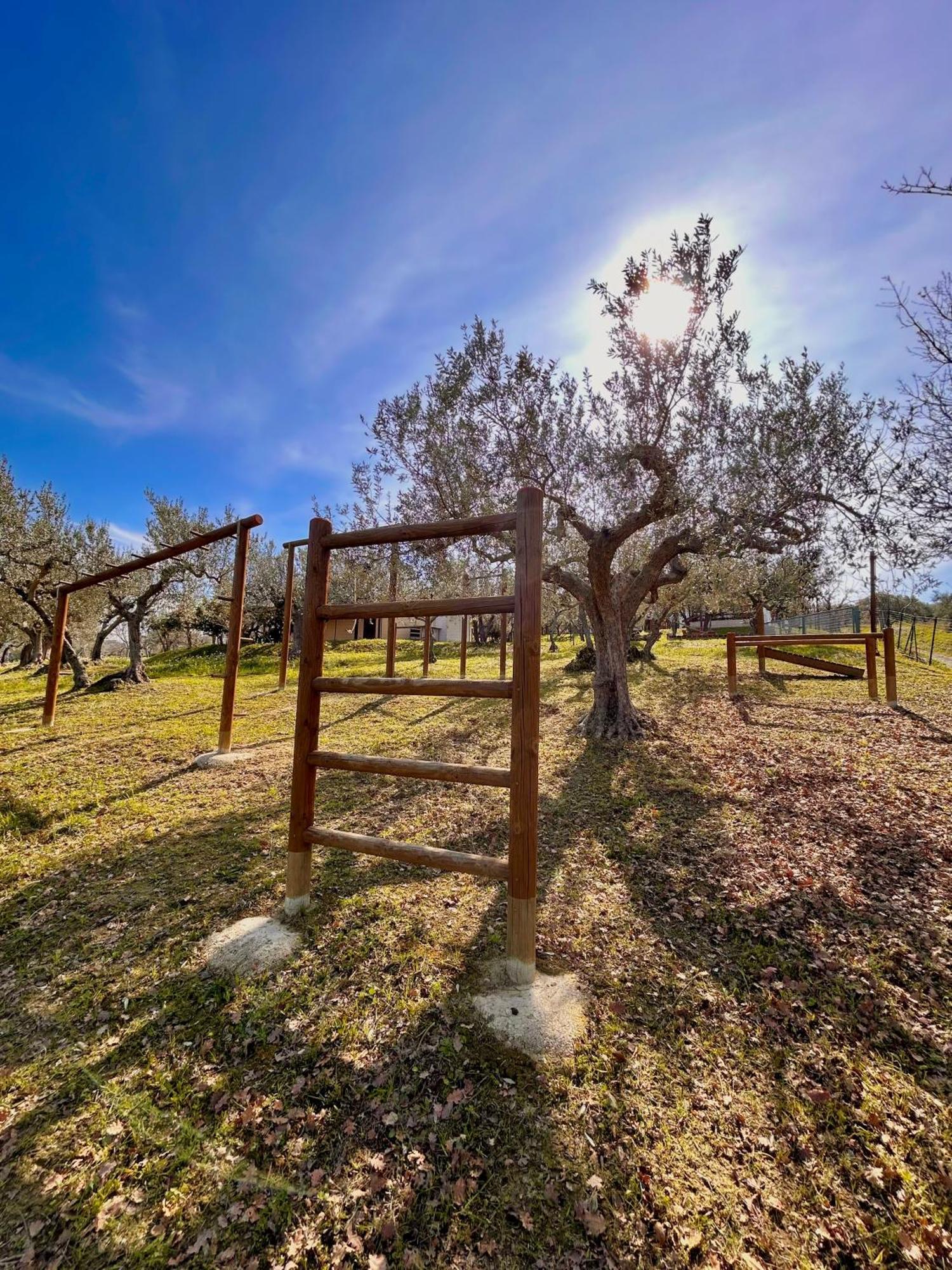 oasi macerina Villa Alanno Exterior foto