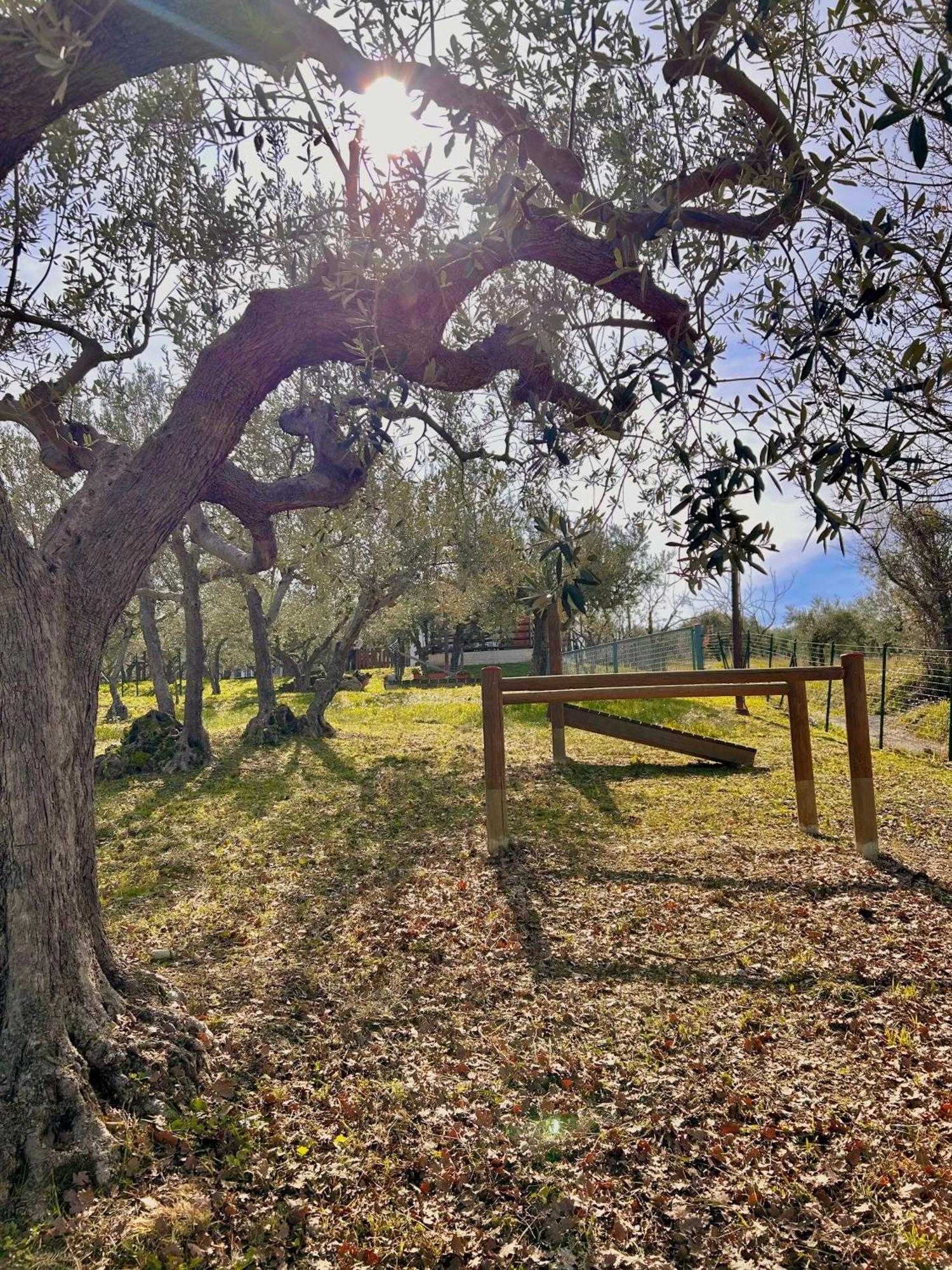 oasi macerina Villa Alanno Exterior foto