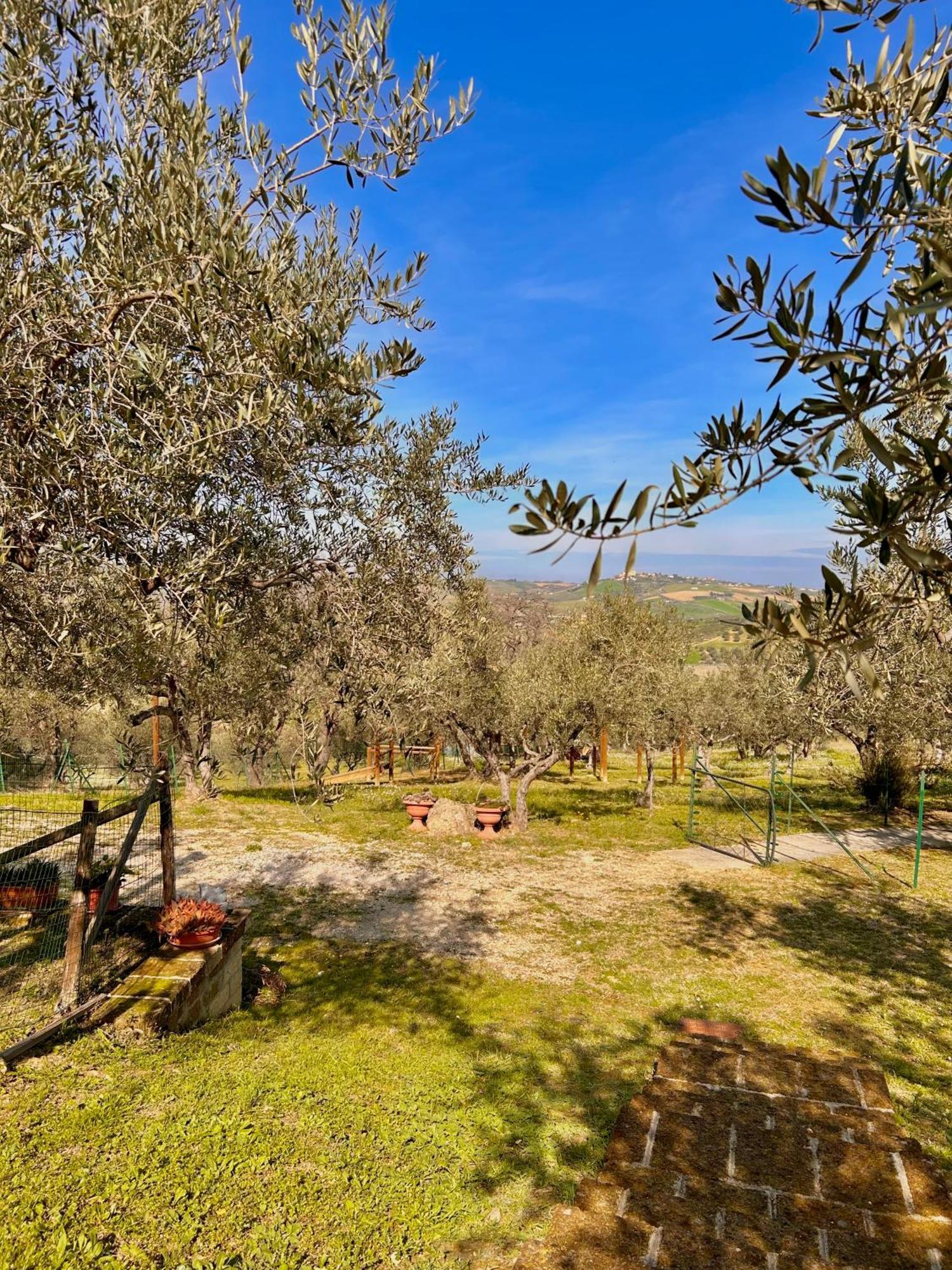 oasi macerina Villa Alanno Exterior foto