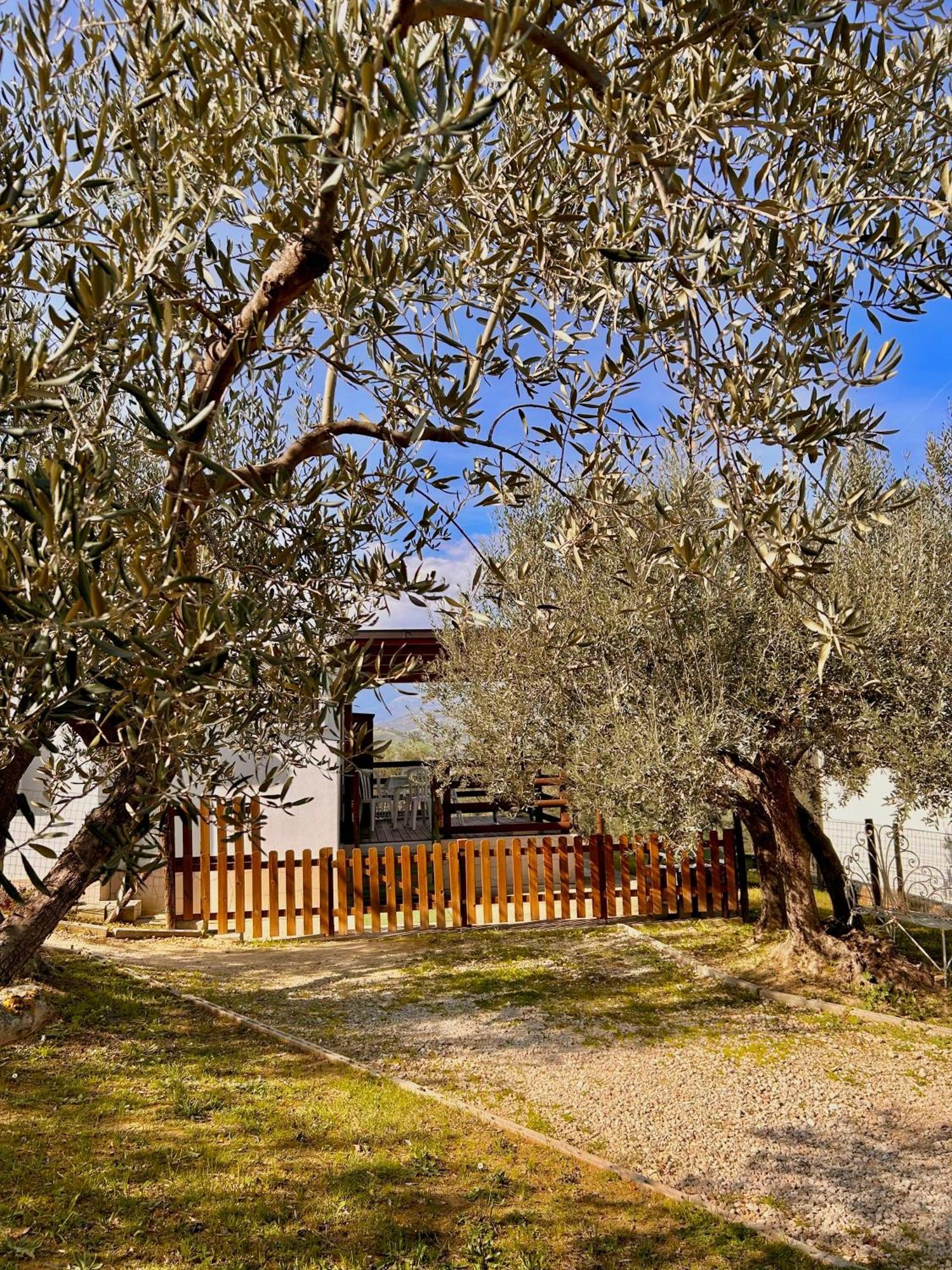 oasi macerina Villa Alanno Exterior foto