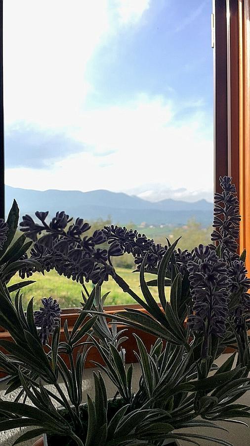 oasi macerina Villa Alanno Exterior foto